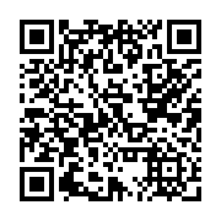 QR code for plate BMP 919