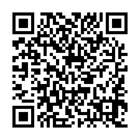 QR code for plate BOL 155
