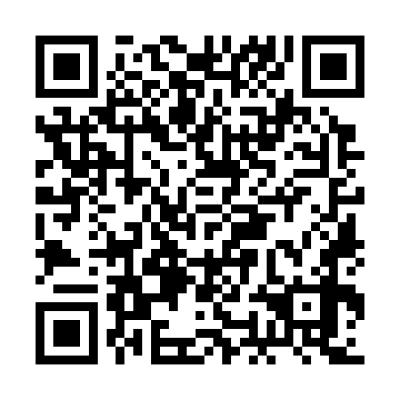 QR code for BOO 378
