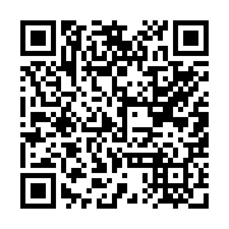 QR code for plate BPE 228