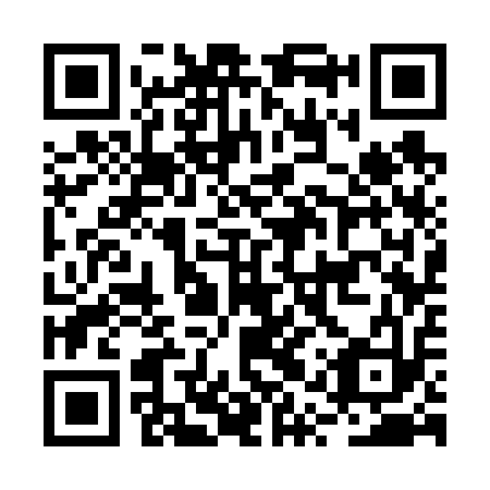 QR code for BQS 613