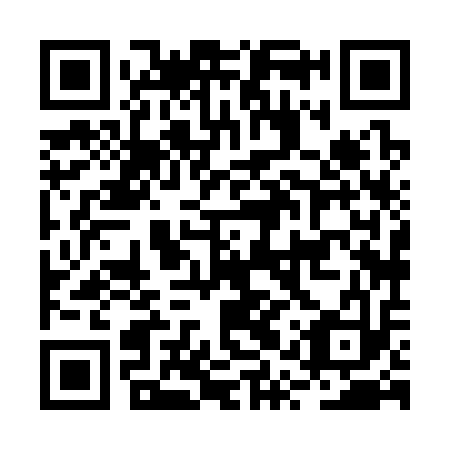 QR code for plate BQX 313