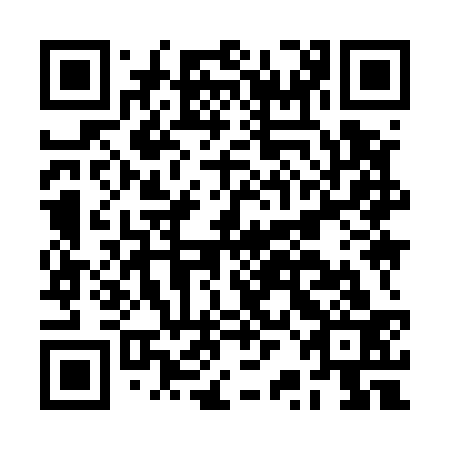QR code for BRI 533