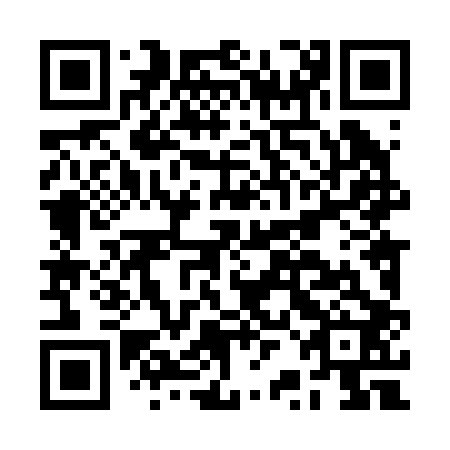 QR code for BRL 202