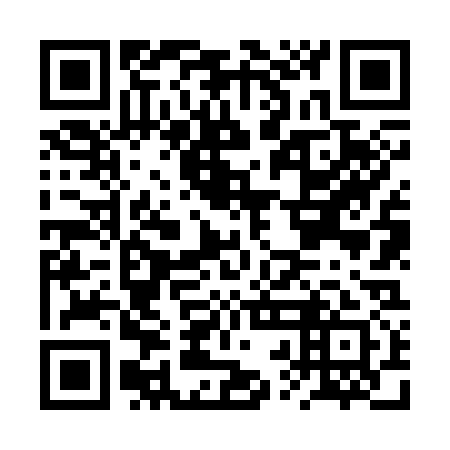 QR code for BRN 331