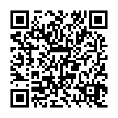 QR code for plate BSD 924