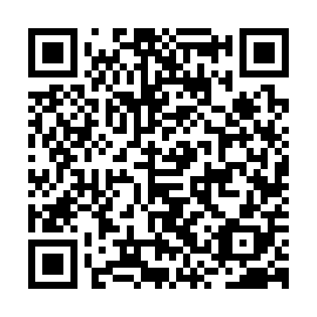 QR code for plate BSV 308