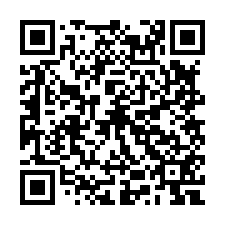 QR code for plate BUR 851