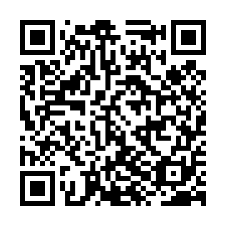 QR code for plate BXG 451
