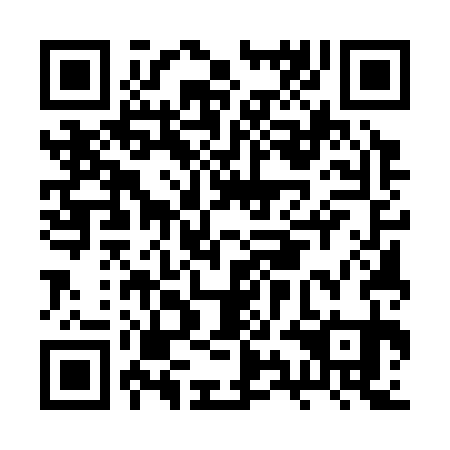 QR code for plate BYE 331