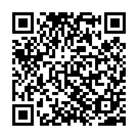 QR code for plate BZG 403