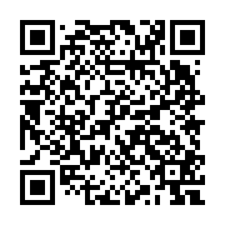 QR code for BZM 601