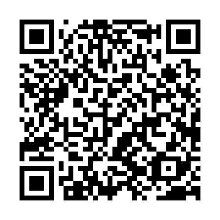 QR code for plate BZP 328