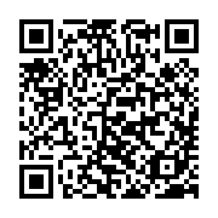 QR code for plate CAR 081