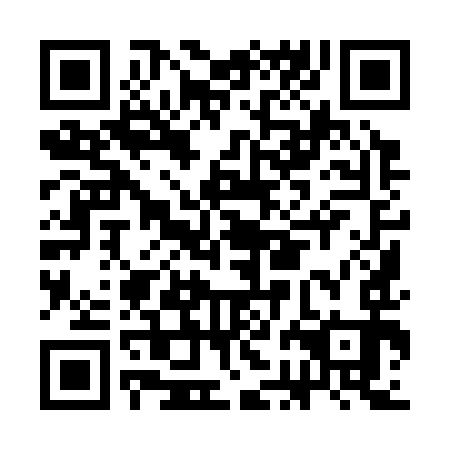 QR code for plate CBI 393