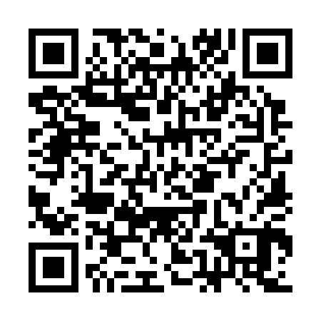 QR code for CEO 300