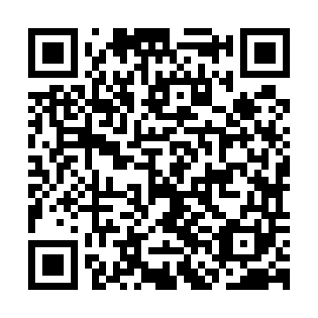 QR code for plate CFJ 541