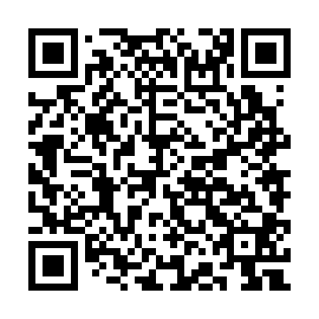 QR code for plate CFN 300