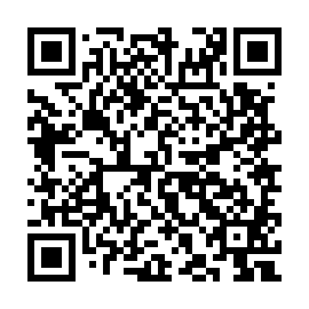 QR code for plate CHJ 581