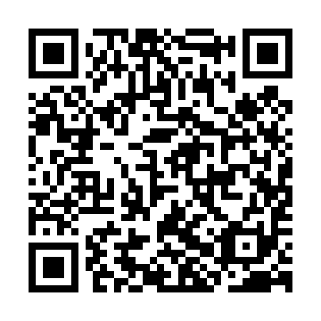 QR code for plate CHQ 491