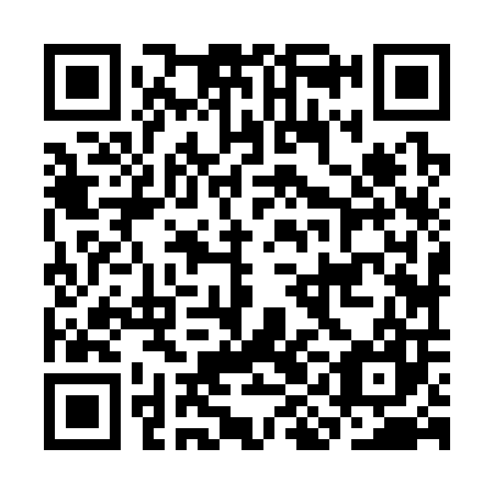 QR code for plate CIJ 307