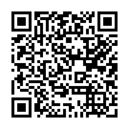 QR code for COL381