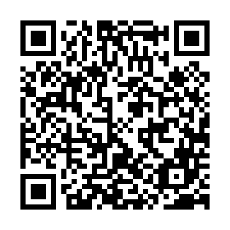 QR code for plate CQD 046
