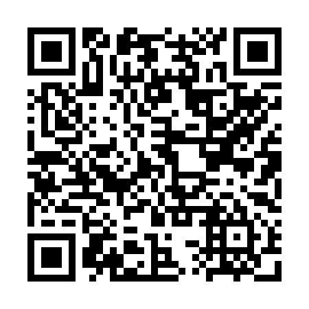 QR code for CSP 295
