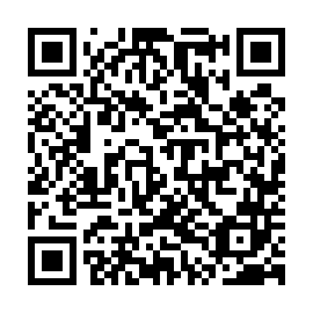 QR code for CTF542