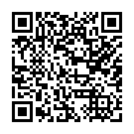 QR code for CYE 950