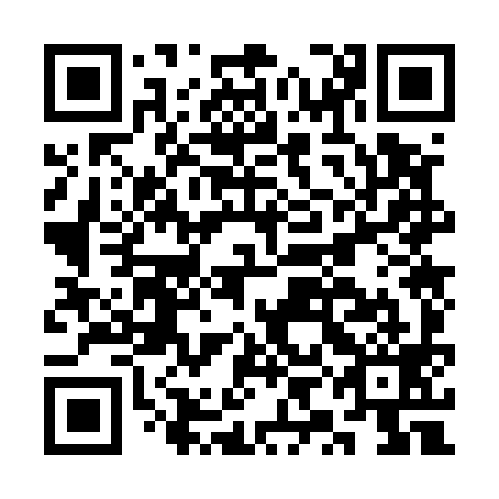 QR code for CYO599