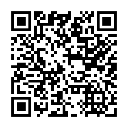 QR code for CYY 384