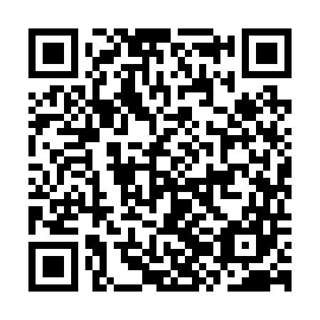 QR code for plate CZI 247