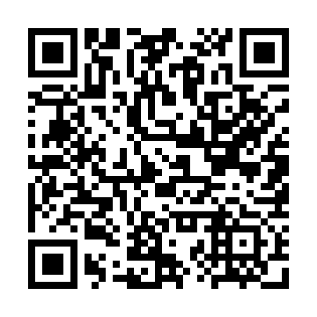 QR code for plate CZU 173