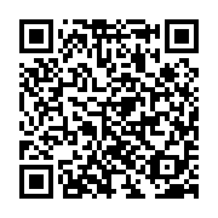 QR code for plate DAE 199