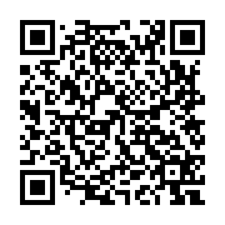 QR code for plate DAG 924