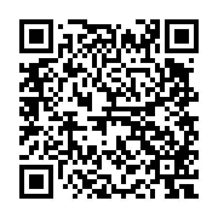 QR code for plate DAR 489