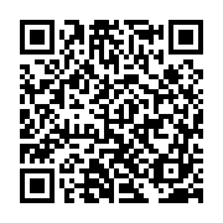 QR code for plate DCM 163