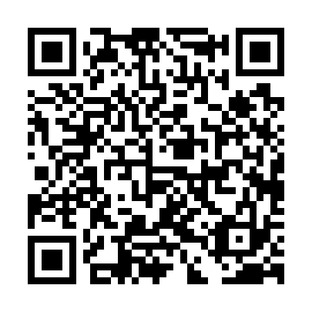 QR code for plate DDP 733