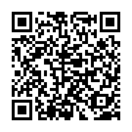 QR code for plate DDV 379