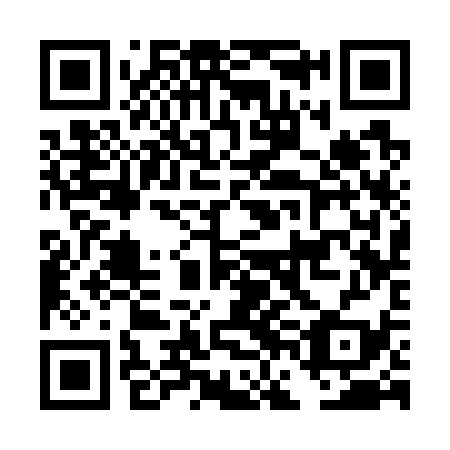 QR code for plate DFC 739