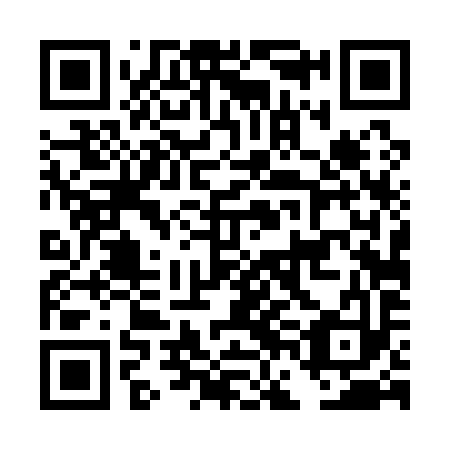 QR code for plate DFD 193