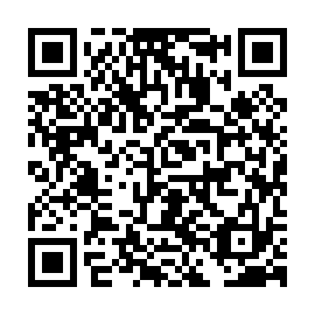 QR code for DFI 033