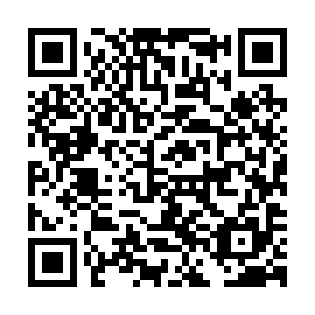 QR code for DFM295