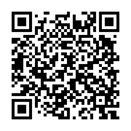 QR code for DGP 486