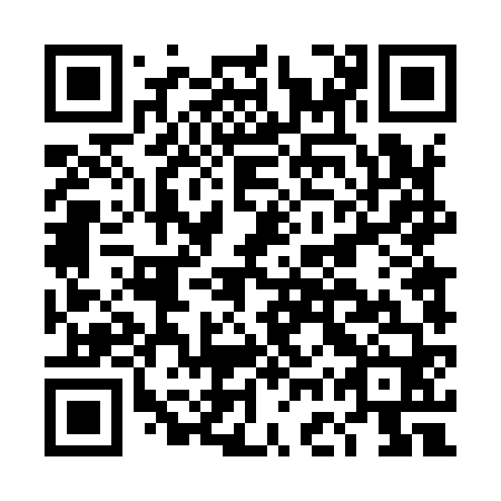 QR code for DGT 960