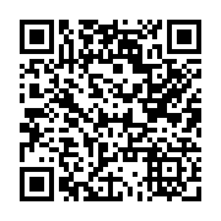 QR code for plate DGX 323