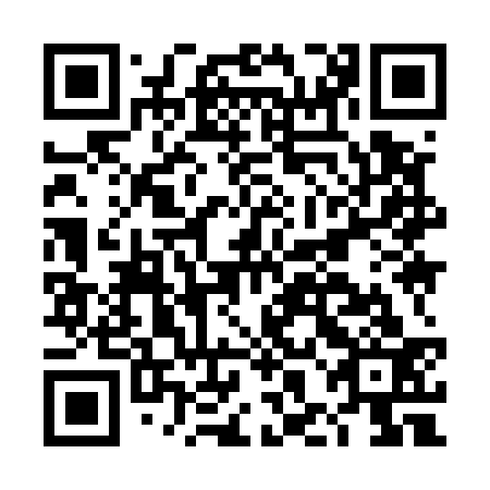 QR code for plate DHI 533
