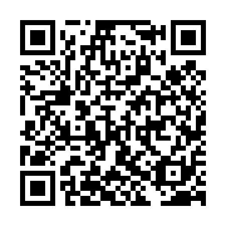 QR code for DHV411