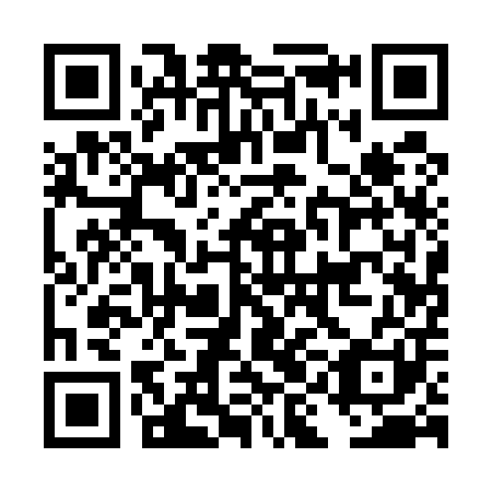 QR code for DIA501